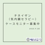 チネイザンモニター募集中です