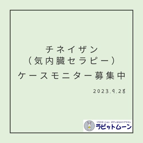 チネイザンモニター募集中です